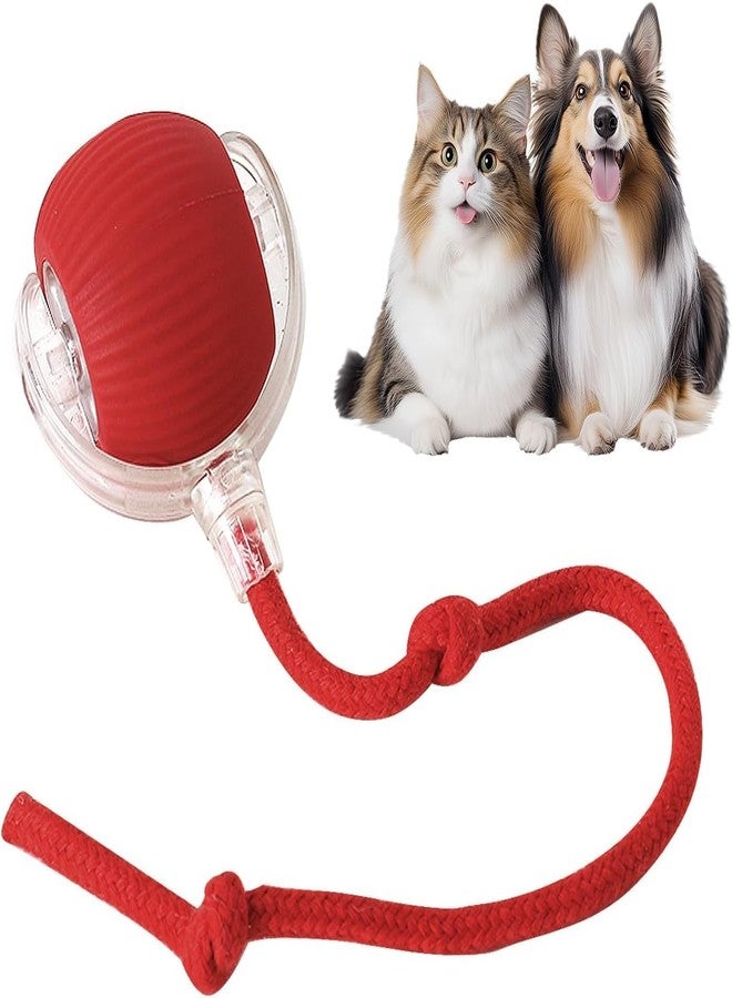 ESCUCHA Interactive Cat Ball Toy with Rope Tail, Smart Rolling Ball for Indoor Cats and Dogs (Multicolor) - Image 1