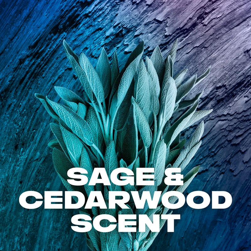 AXE Wash & Care 2-in-1 Shampoo & Conditioner Apollo Wash & Care 4 Count for Clean & Strong Hair Sage & Cedarwood 100% Recycled Bottle 28 oz - Image 3