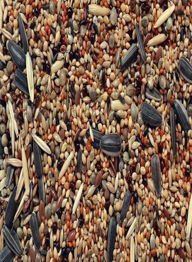 PMK Mix Bird Food for Lovebird, Cockatiel, Budgies Parrots and Small Birds - 500gm (Pack of 2) - Image 5