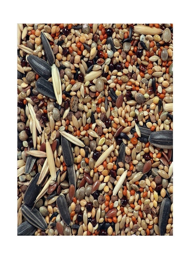 PMK Mix Bird Food for Lovebird, Cockatiel, Budgies Parrots and Small Birds - 500gm (Pack of 2) - Image 4