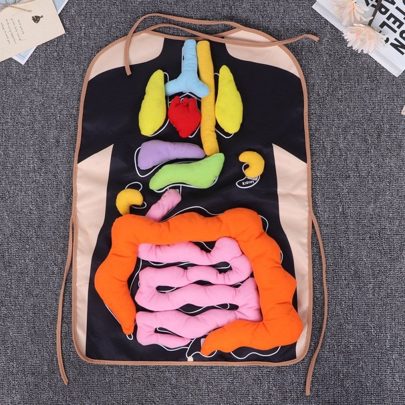 Human Body Organ Apron: Plush Stuffed Organ Design - DIY Anatomy Learning Apron for Kids Early Childhood Education & Classroom Teaching Aid - Image 5