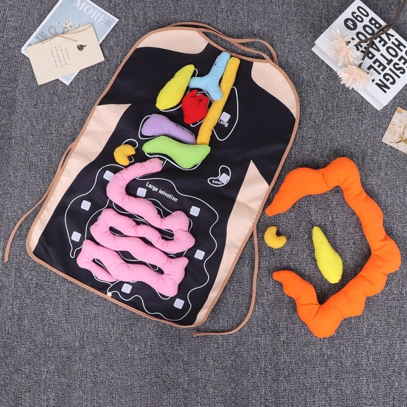 Human Body Organ Apron: Plush Stuffed Organ Design - DIY Anatomy Learning Apron for Kids Early Childhood Education & Classroom Teaching Aid - Image 4