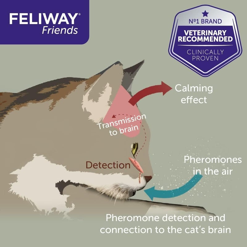 Feliway Friends 30 Day Refill (Value 3 pack), helps to reduce conflict in multi-cat households, helping cats get along better - 48ml x3,Packaging may vary - Image 5