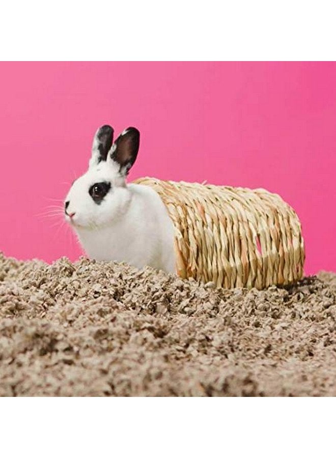 Carefresh 99% Dust-Free Natural Paper Small Pet Bedding with Odor Control, 14 L - Image 2