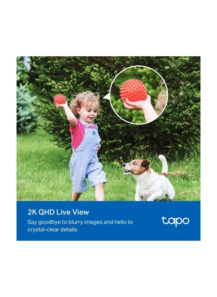 تابو Tapo C425 KIT New Solar-Powered Security Camera Kit - Image 5