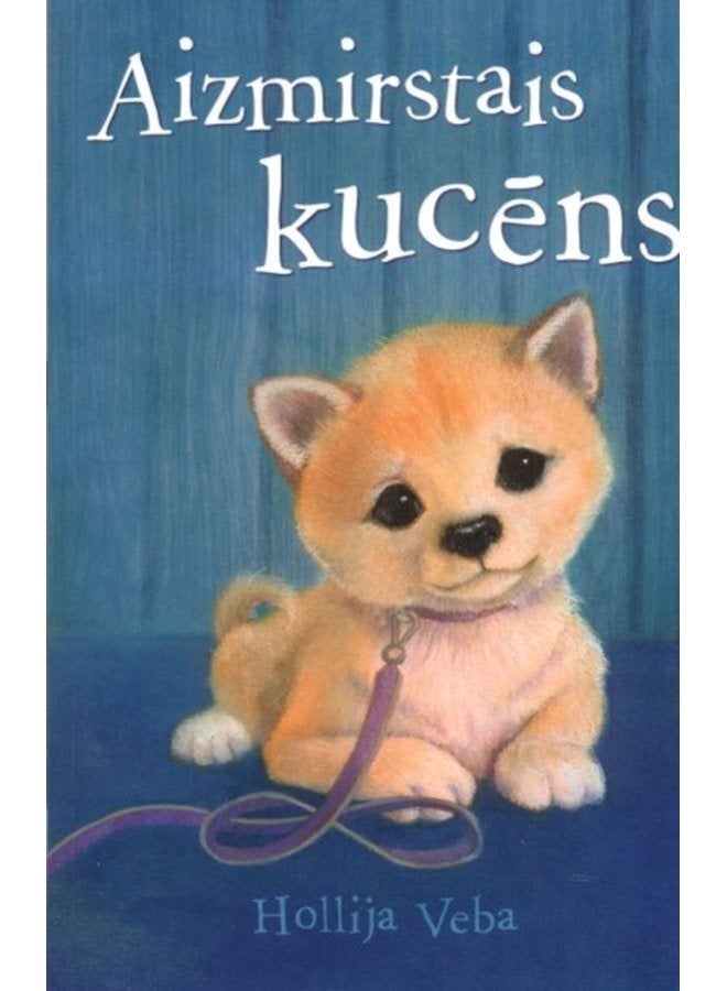 Aizmirstais Kucns - Paperback