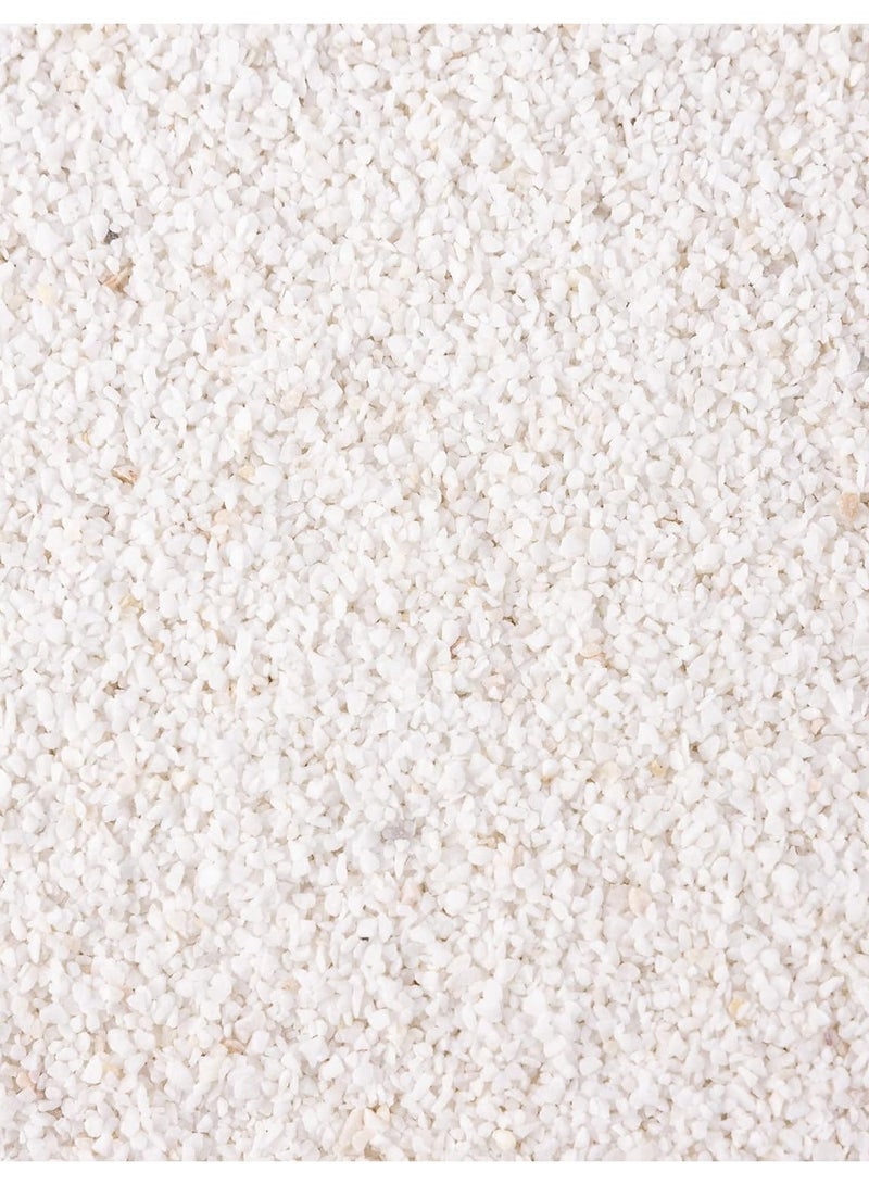 vsell24 3 كجم من الحجر الأبيض الطبيعي الفائق 2-4 مم لزراعة الأحواض السمكية وزخرفة الفازات - Image 2
