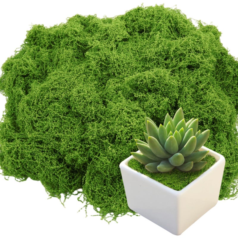 Bitlongate Artificial Moss 10.6oz â€“ Fake Green Moss for Crafts, Potted Plants, Fairy Garden Decor, DIY Table Centerpieces, Wedding Party Decoration - Image 1