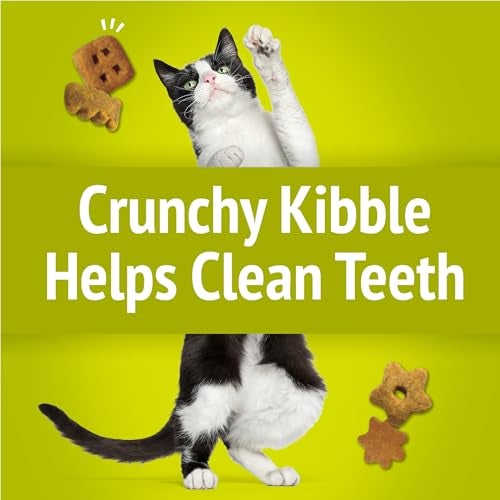 Friskies Purina Friskies Party Mix Morning Munch Crunch Cat Treats - (Pack of 10) 2.1 oz. Pouches - Image 5