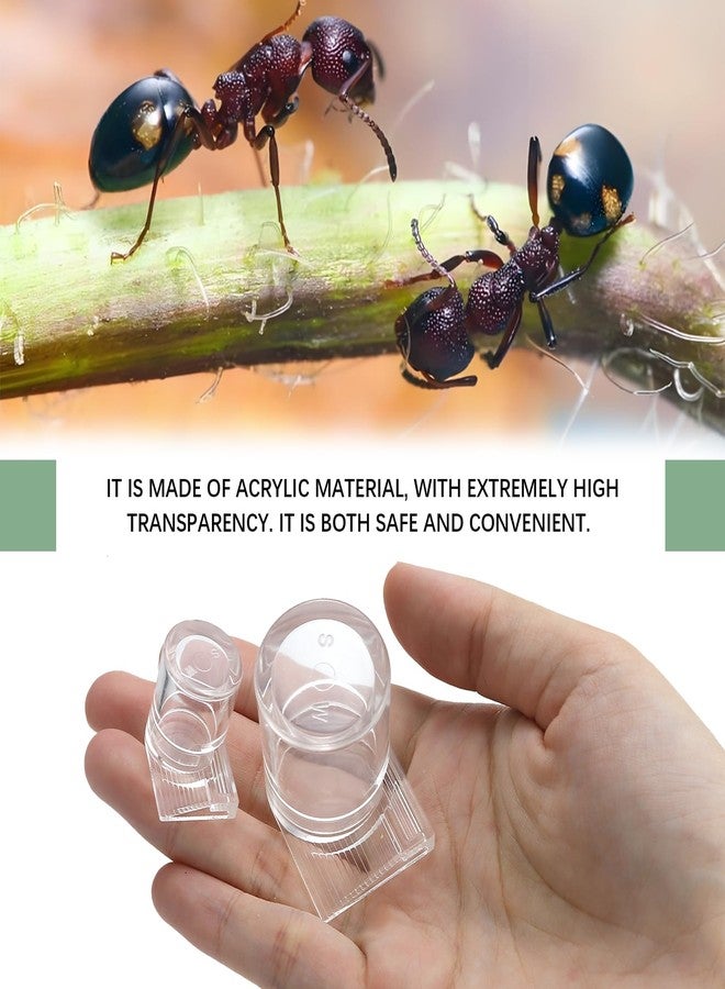 LCJAOF 2pcs Mini Ant Water Feeder - Transparent Liquid Feeding Bowls for Ant Farms Small Reptiles Ideal Insect Drinking Tools - Image 5