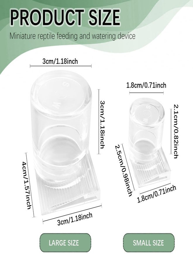 LCJAOF 2pcs Mini Ant Water Feeder - Transparent Liquid Feeding Bowls for Ant Farms Small Reptiles Ideal Insect Drinking Tools - Image 2