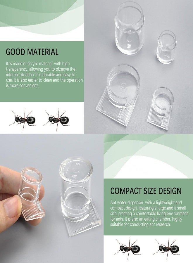 LCJAOF 2pcs Mini Ant Water Feeder - Transparent Liquid Feeding Bowls for Ant Farms Small Reptiles Ideal Insect Drinking Tools - Image 3