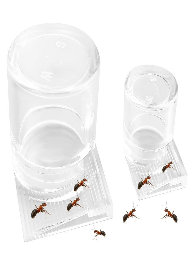 LCJAOF 2pcs Mini Ant Water Feeder - Transparent Liquid Feeding Bowls for Ant Farms Small Reptiles Ideal Insect Drinking Tools - Image 1