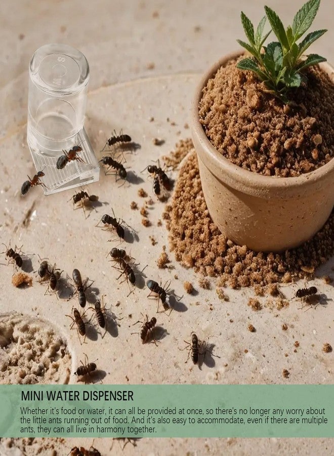 LCJAOF 2pcs Mini Ant Water Feeder - Transparent Liquid Feeding Bowls for Ant Farms Small Reptiles Ideal Insect Drinking Tools - Image 4