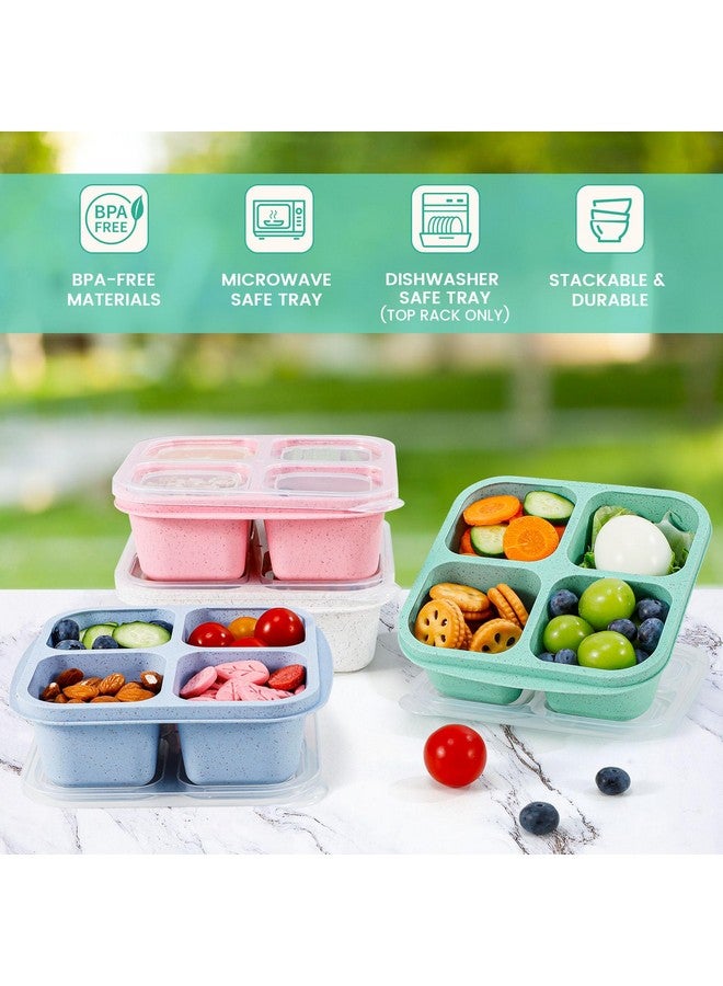 Caperci 4 Pack Bento Snack Boxes Lunchable Containers for Kids & Adults, Wheat Straw 4-Compartment Reusable Food Storage Containers for Snacks & Small Meal (Multicolor & Clear Lids) - Image 3