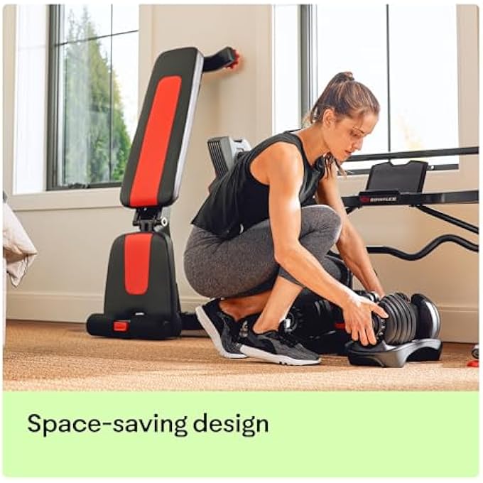 rayihni Weight Bench Series - Image 4