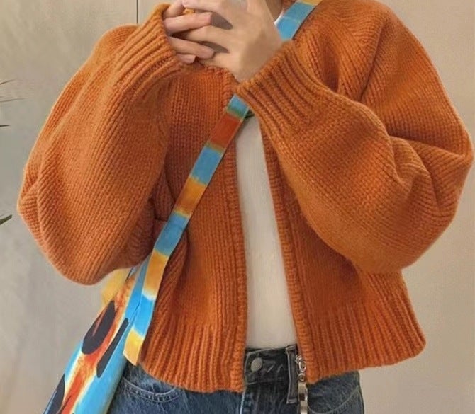Grey Raccoon Velvet Short Zipper Sweater Jacket Retro Lazy Style Outer Wear Knitted Cardigan