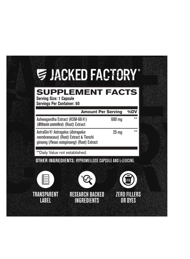 Jacked Factory KSM-66 Ashwagandha Root Extract 600mg per serving 60 Veggie Capsules - Image 2