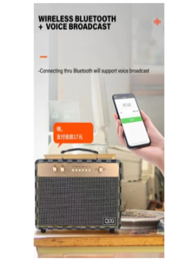 Big Sound High Quality KARAOKE Wireless Bluetooth Leather Type Speaker support AUX, TF, USB, FM Radio Mode with Wireless Microphone - Image 2