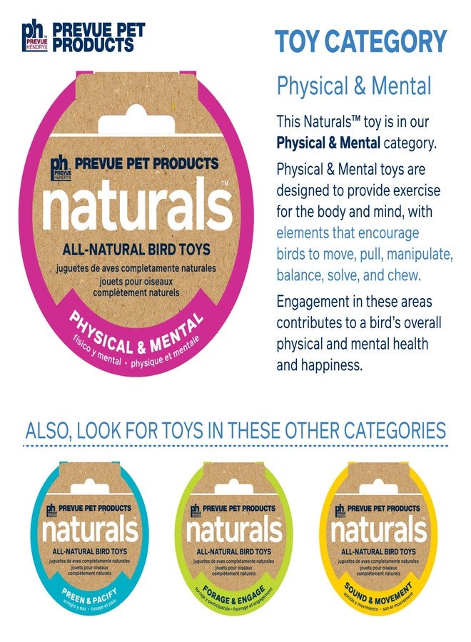 PH Prevue Hendryx Prevue Pet Products Naturals Physical & Mental Princess Bird Toy 62553 - Image 5