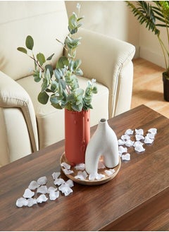 Home Box Medley 40-Piece Decorative Petals Set  - Image 3