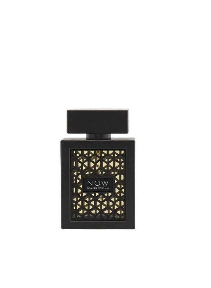 رايف عطر ناو من رايف للرجال او دي برفيوم 100مل - Image 1
