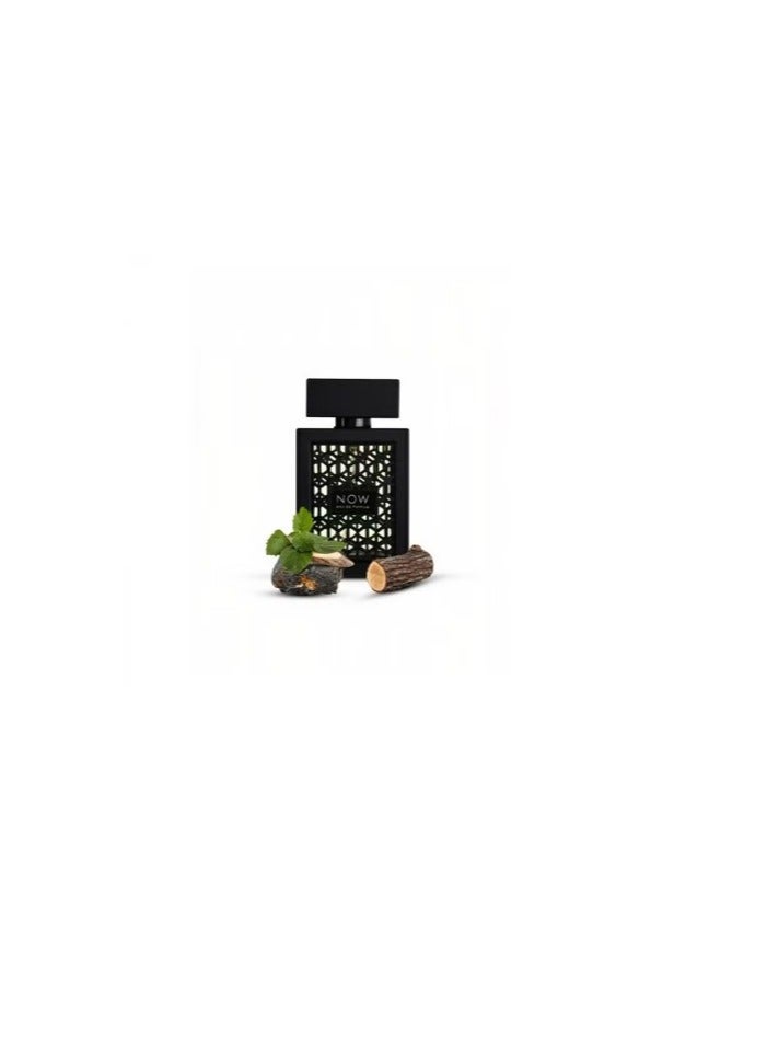 رايف عطر ناو من رايف للرجال او دي برفيوم 100مل - Image 2