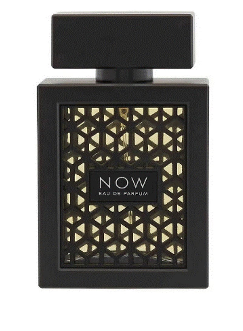 رايف عطر ناو من رايف للرجال او دي برفيوم 100مل - Image 3