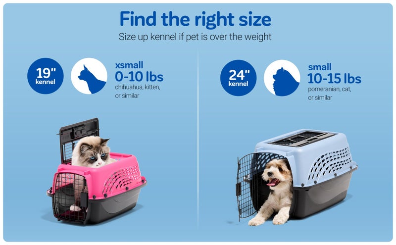 Petmate Dog Crates for Small Dogs & Cat Carriers, Two-Door Plastic Pet Kennel, Top & Front Loading, Made in USA, 24" For Pets Up To 15 lb, Pearl Tan - Image 3