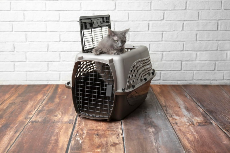 Petmate Dog Crates for Small Dogs & Cat Carriers, Two-Door Plastic Pet Kennel, Top & Front Loading, Made in USA, 24" For Pets Up To 15 lb, Pearl Tan - Image 4