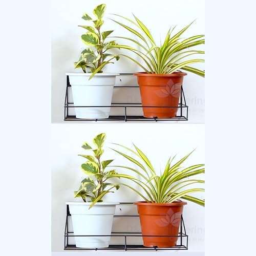 D&V ENGINEERING - Creative in innovation D&V Engineering Metal Wall-Mounted Planters Stand | Hanging Flower Pot Holder for Balcony, Living Room, Office Decor | Space-Saving Plant Stand | Holds Up to 20kg | Pack of 2, Black - Image 1