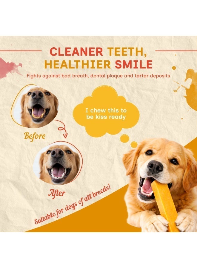 PUPRAZY Yak Cheese Himalayan Dog Chew Bars- Turmeric Flavor| All natural, Long-lasting Veg Dental dog treat Antioxidant bone - Image 4
