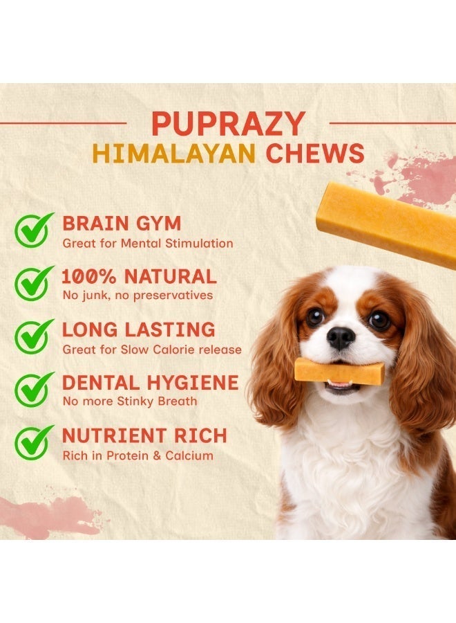 PUPRAZY Yak Cheese Himalayan Dog Chew Bars- Turmeric Flavor| All natural, Long-lasting Veg Dental dog treat Antioxidant bone - Image 2