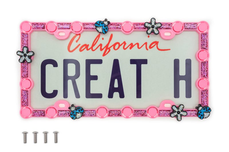 creathome FDD Custom License Plate FrameStarter Kit with Silver Daisy and Blue Ladybug - Image 3