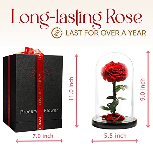 LOVAPPY Forever Preserved Rose - Eternal Rose in Glass Dome - Beauty and The Beast Rose for Mom - Fresh Flowers in Glass (Red, 9 Inch) - Image 3