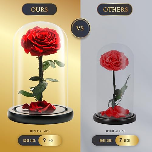 LOVAPPY Forever Preserved Rose - Eternal Rose in Glass Dome - Beauty and The Beast Rose for Mom - Fresh Flowers in Glass (Red, 9 Inch) - Image 4