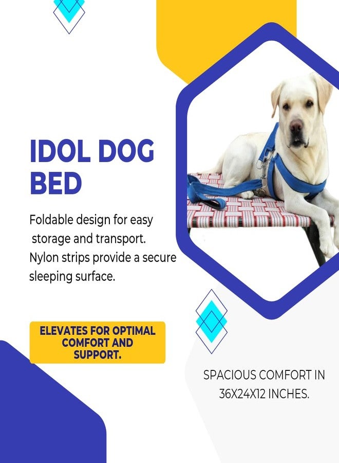 Generic Idol Elevated Foldable Dog Bed - Image 4