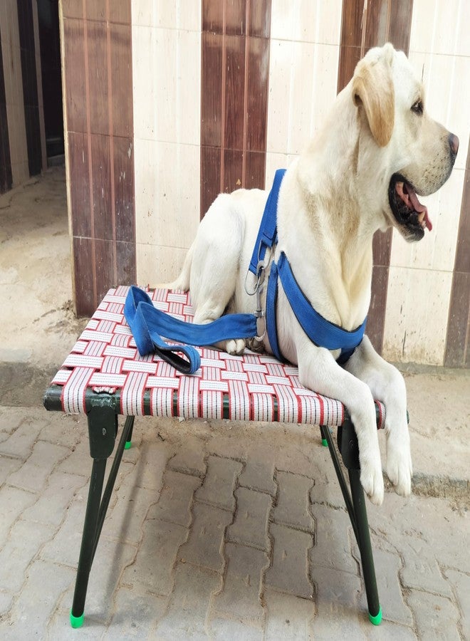 Generic Idol Elevated Foldable Dog Bed - Image 1
