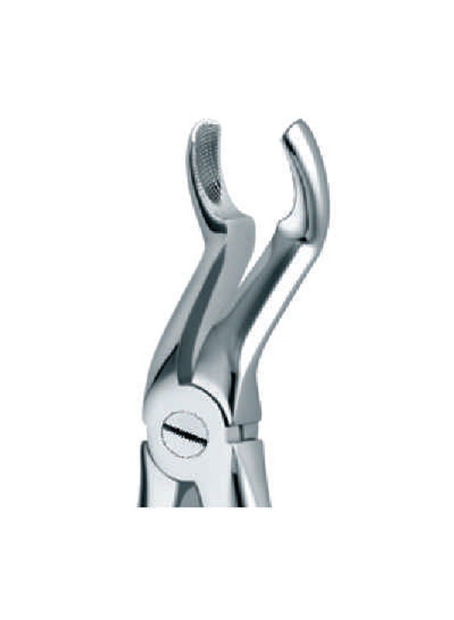 ملقط استخراج أدوات طب الأسنان الشكل 67 أ بمقبض قياسي