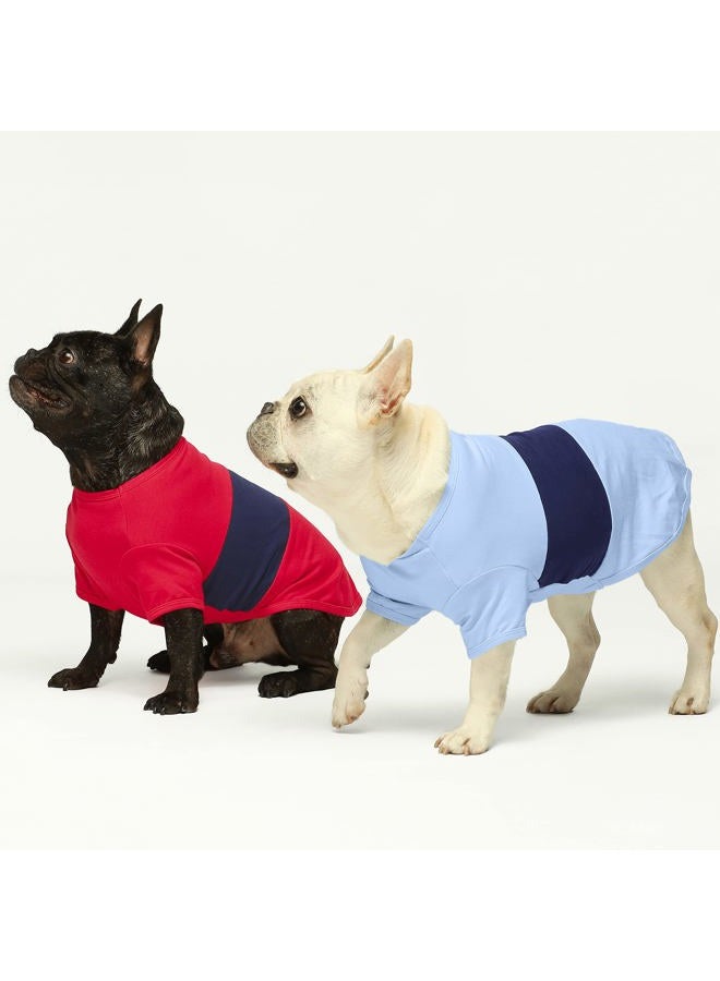 Fitwarm 3 Pack Color Block Striped Dog Shirt, Summer Dog Clothes for Small Dogs, Breathable Lightweight Pet Tshirt with Sleeves, Cat Outfit, Red, Blue, Grey - Image 3
