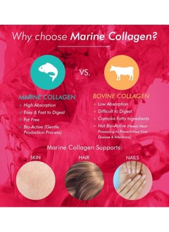 BIOGLAN Beauty Collagen Tablets 2500mg Hydrolysed Marine Collagen 90 Tablets  - Image 5