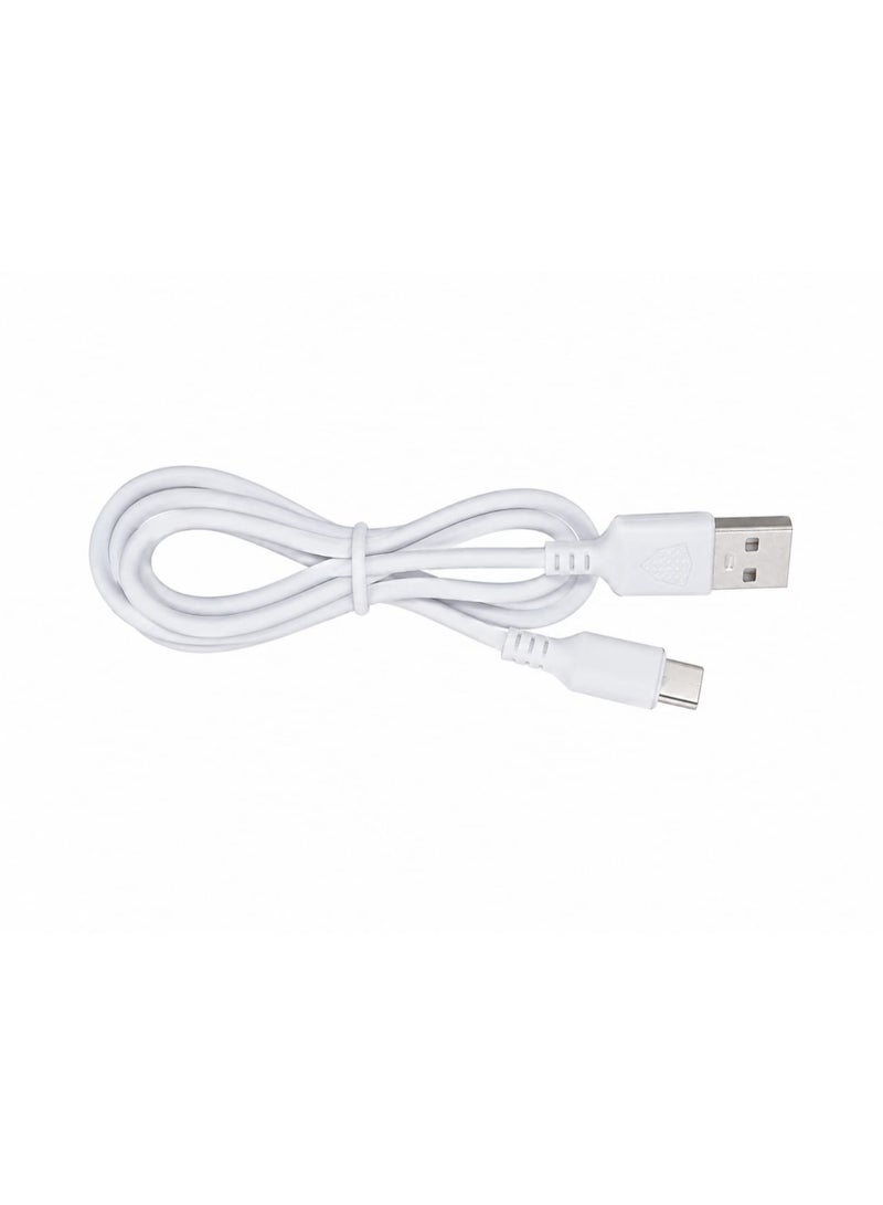 كابل X01 للشحن السريع من USB إلى Type-C (بقوة 3.1 أمبير)