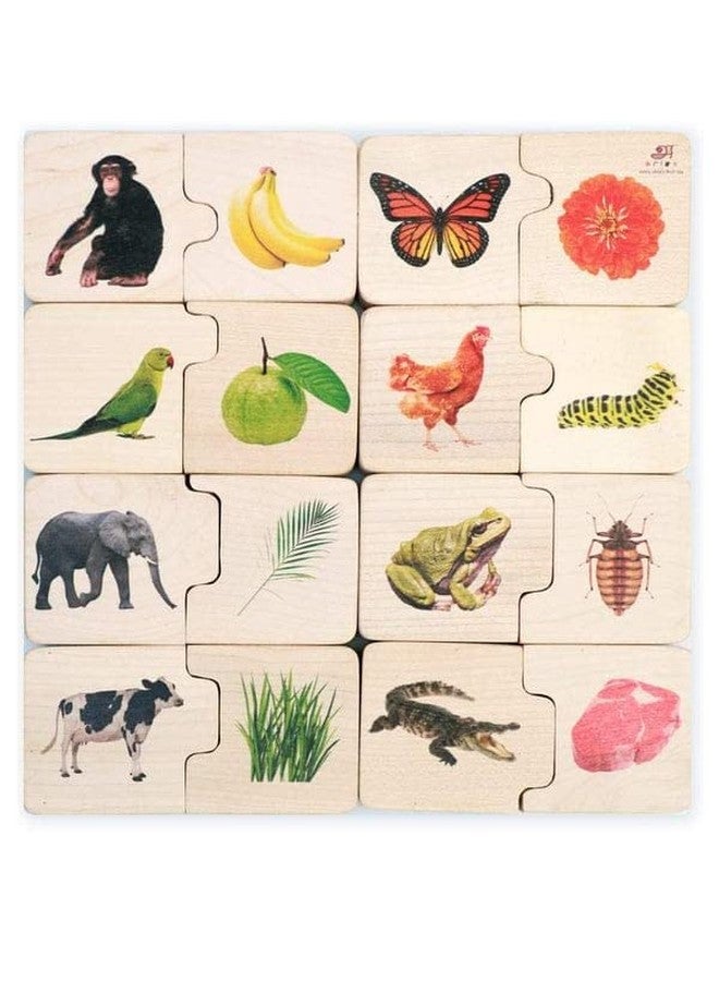 Ariro Toys Montessori Wooden Puzzle – Toddler Puzzles | Puzzle Game for Kids 12 Months to 3 Years, Shape Sorting & Brain Booster Wooden Puzzles for Early Learning | 16 Chunks - Image 1