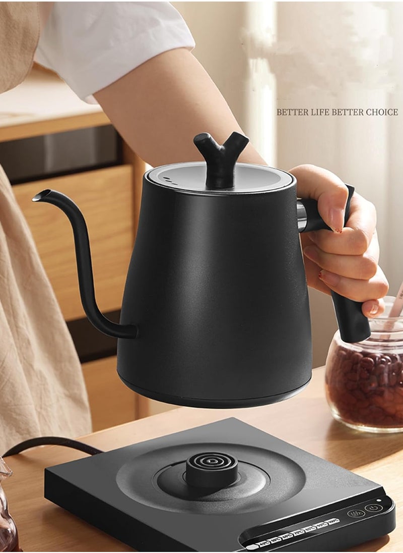 DOSCHER - 1L Gooseneck Electric Kettle 1000W, Pour Over Coffee Kettle with Constant Temperature, 304 Stainless Steel - Image 1