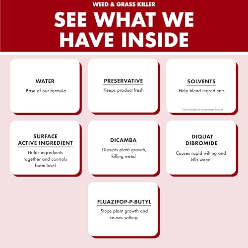 Spectracide Weed & Grass Killer, Use On Driveways, Walkways and Around Trees and Flower Beds, 1 Gallon (RTU Spray) - Image 4