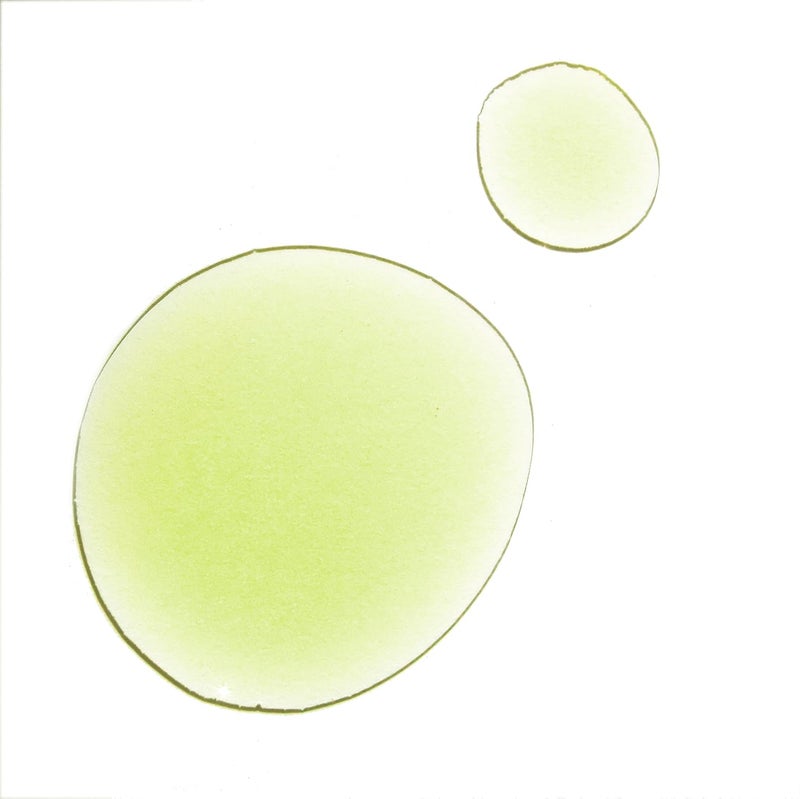 UMA Pure Calm Wellness Oil Nourishing Aromatic Harmonizing 100 Ayurvedic Sustainable Contains chamomile lavender Promotes Mindful Soothing Effect - Image 3