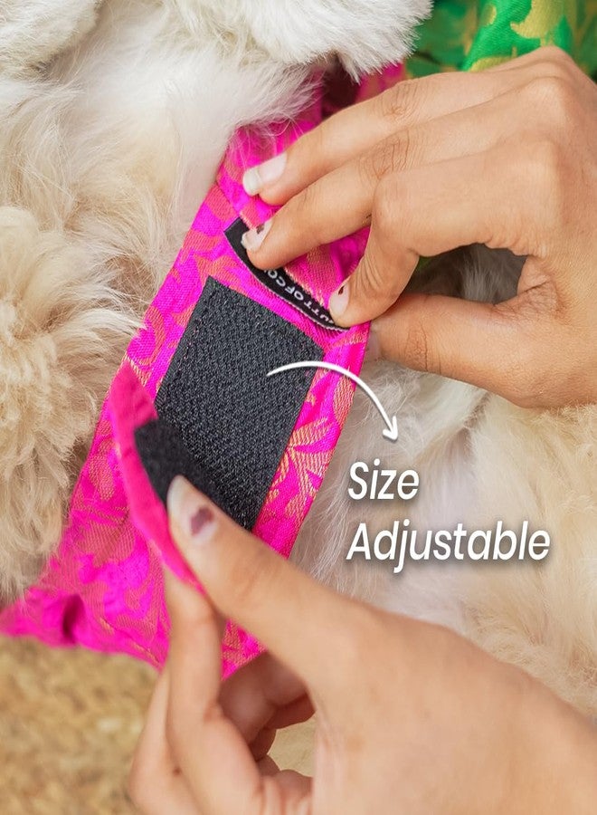 Mutt of Course Dog Dress | Wedding Outfit for Large Dogs | for Indie and Boxer Dogs - Image 4