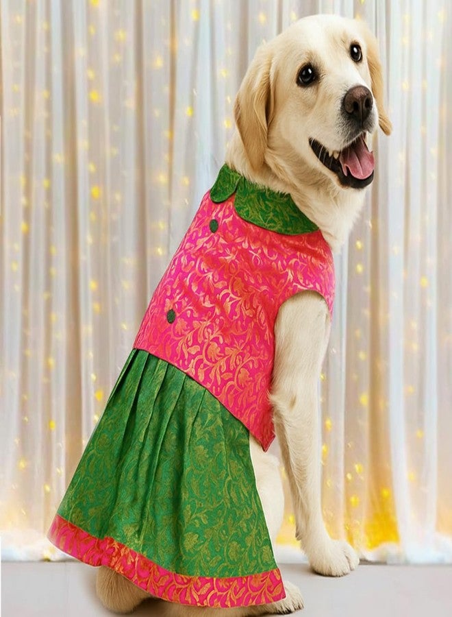 Mutt of Course Dog Dress | Wedding Outfit for Large Dogs | for Indie and Boxer Dogs - Image 1