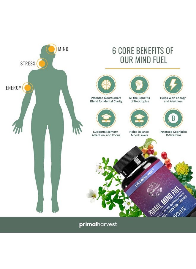 Primal Harvest - Nt By Primal Harvest Primal Mind Fuel Brain Booster For Focus Energy Clarity Memory Brain Health 30 Capsules Nootropics Brain Support Supplement For Men And Women - Image 1