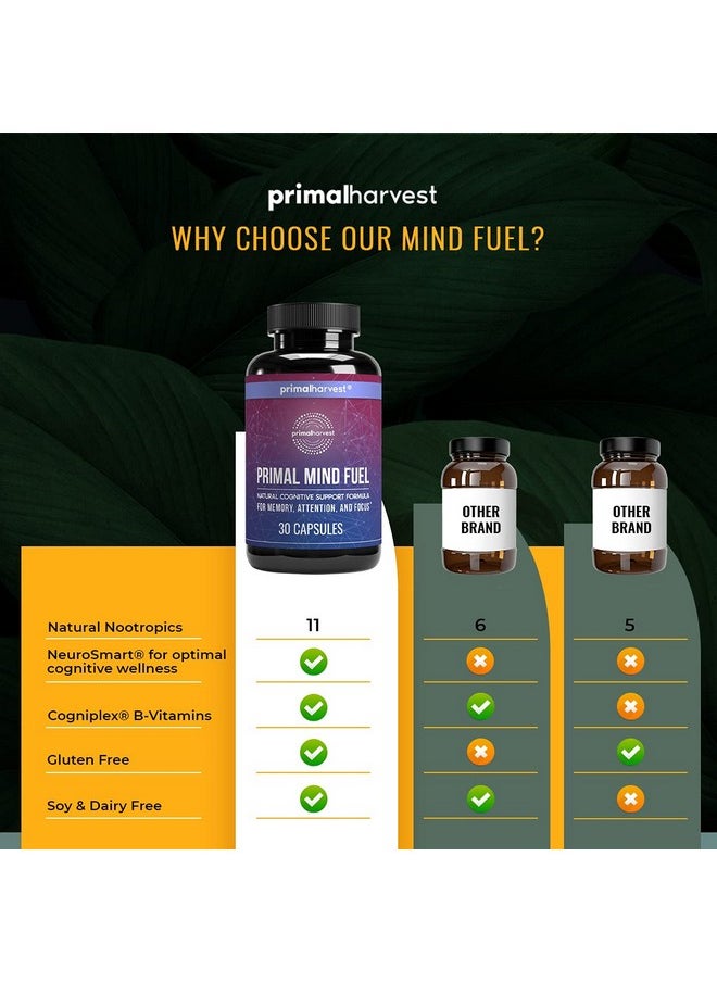 Primal Harvest - Nt By Primal Harvest Primal Mind Fuel Brain Booster For Focus Energy Clarity Memory Brain Health 30 Capsules Nootropics Brain Support Supplement For Men And Women - Image 1